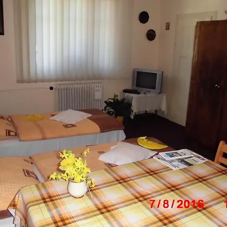 Apartmán V Secesní *